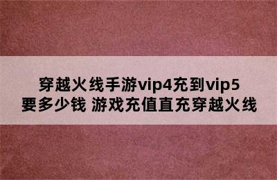 穿越火线手游vip4充到vip5要多少钱 游戏充值直充穿越火线